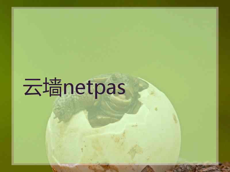 云墙netpas