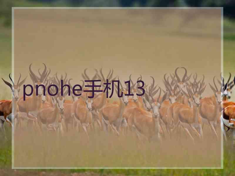 pnohe手机13