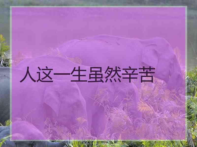 人这一生虽然辛苦