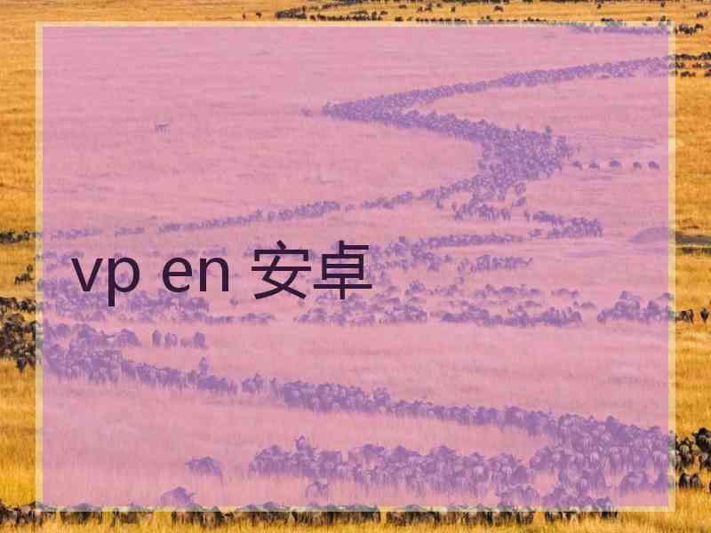 vp en 安卓