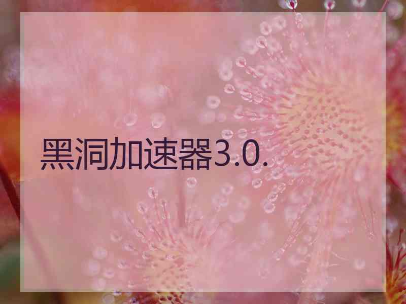 黑洞加速器3.0.