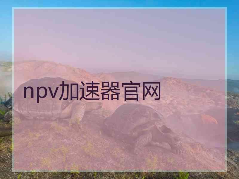 npv加速器官网