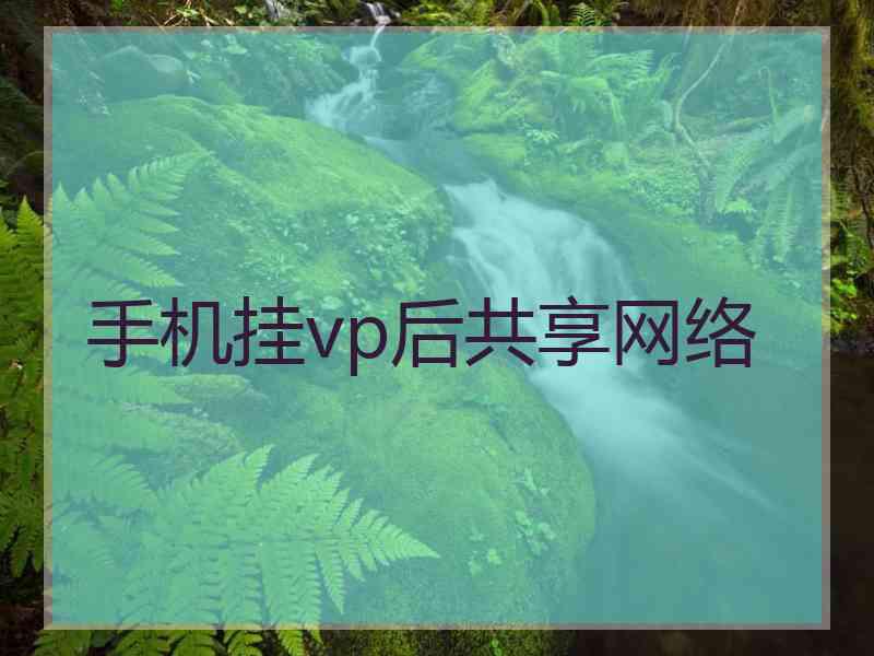 手机挂vp后共享网络