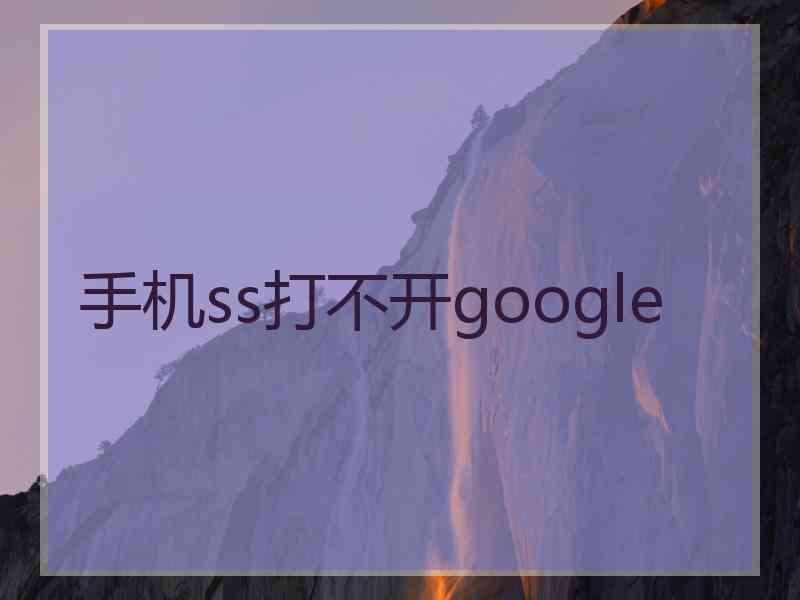 手机ss打不开google