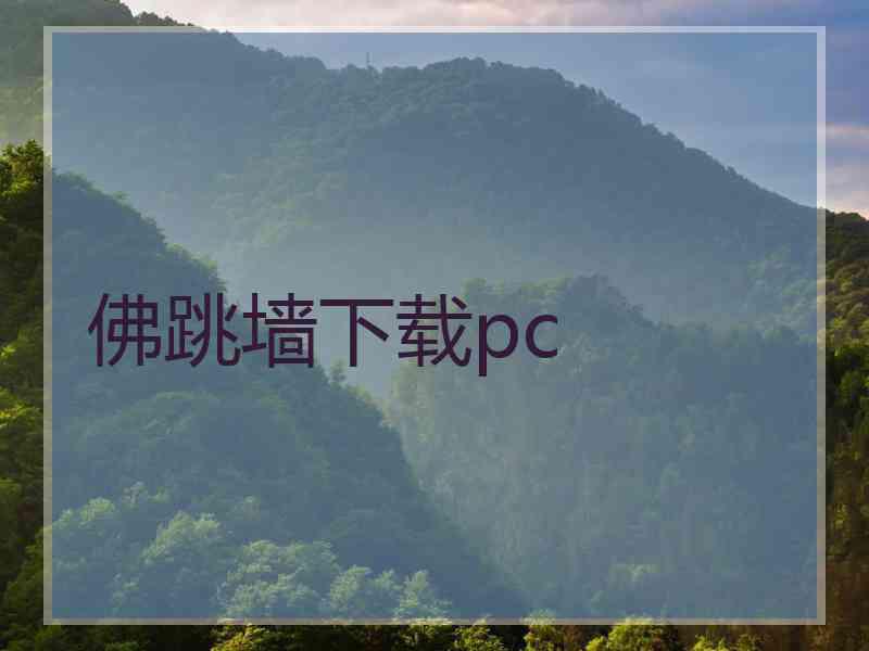 佛跳墙下载pc