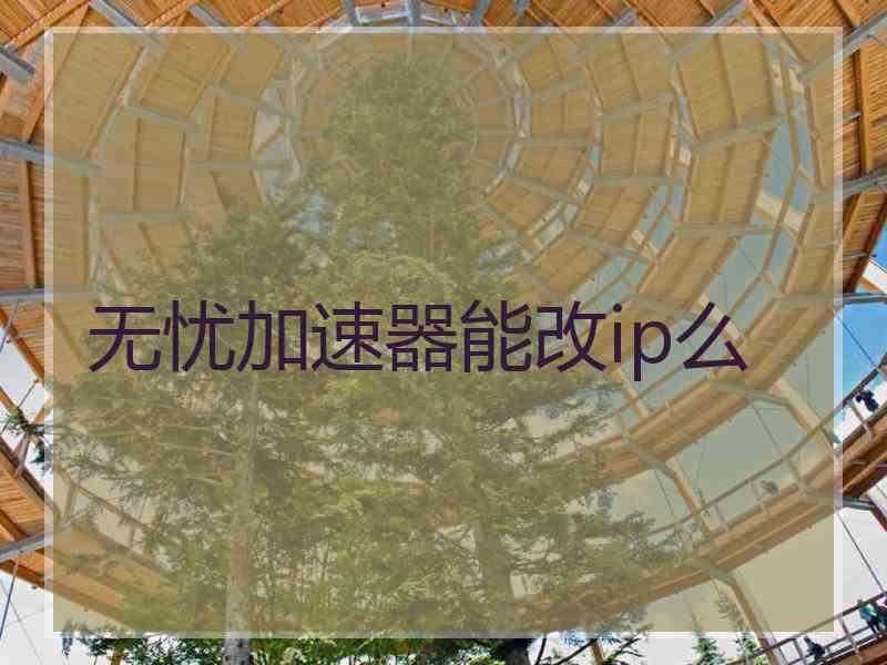 无忧加速器能改ip么