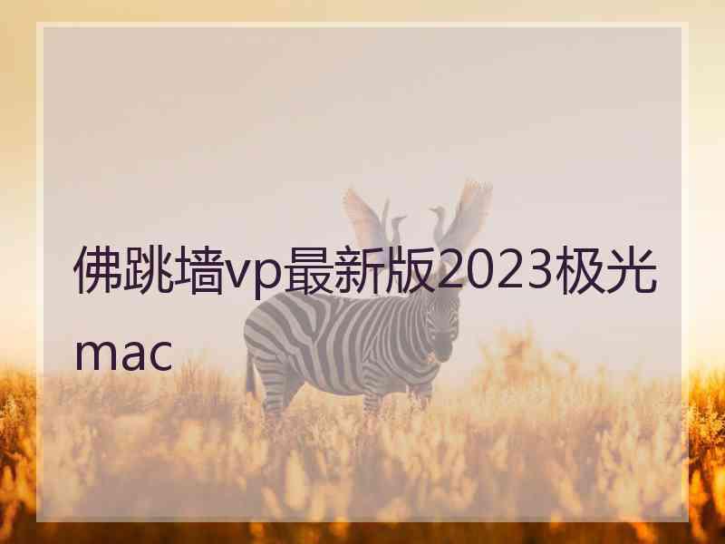 佛跳墙vp最新版2023极光 mac