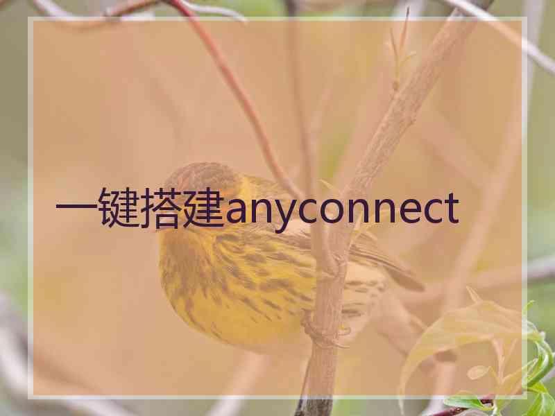 一键搭建anyconnect