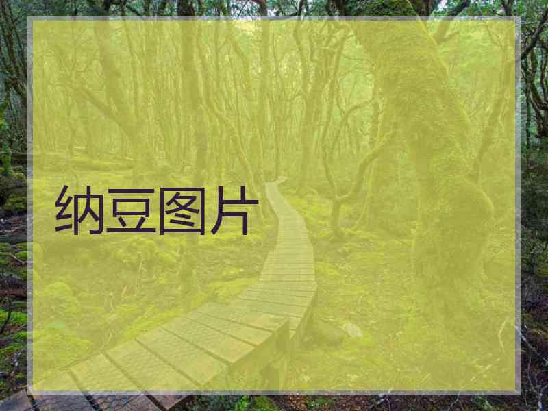纳豆图片