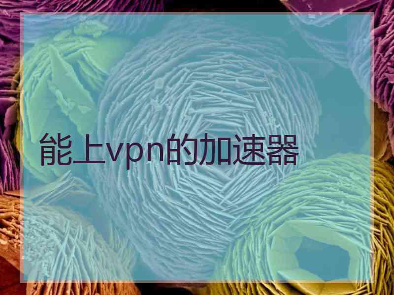能上vpn的加速器
