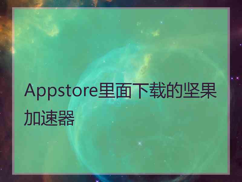 Appstore里面下载的坚果加速器