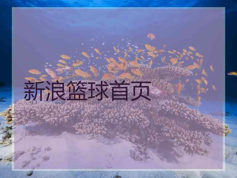新浪篮球首页