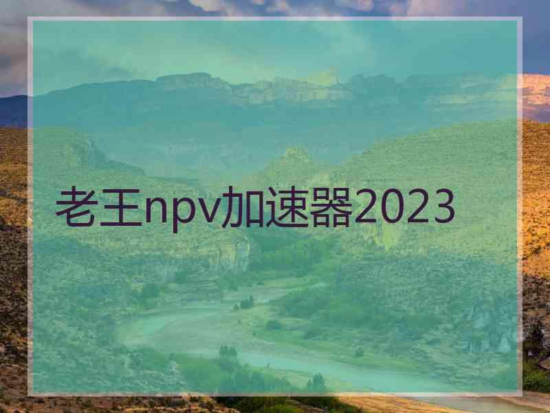 老王npv加速器2023