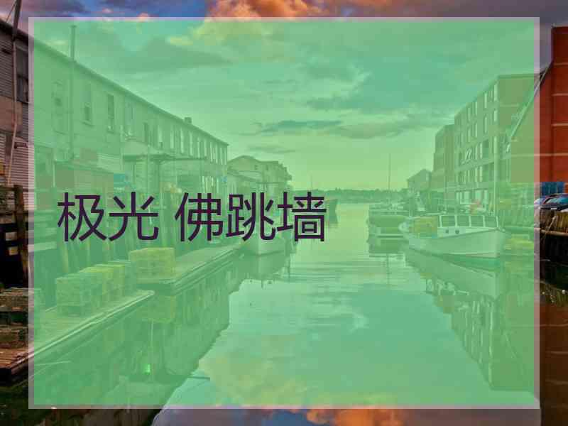 极光 佛跳墙