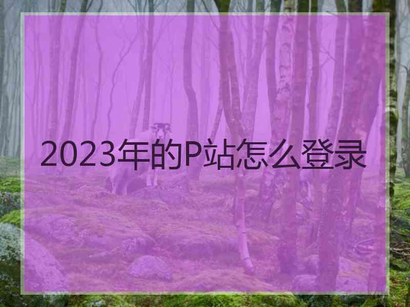 2023年的P站怎么登录