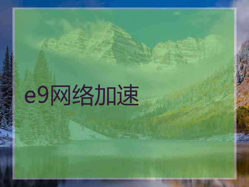 e9网络加速