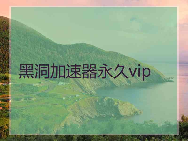 黑洞加速器永久vip