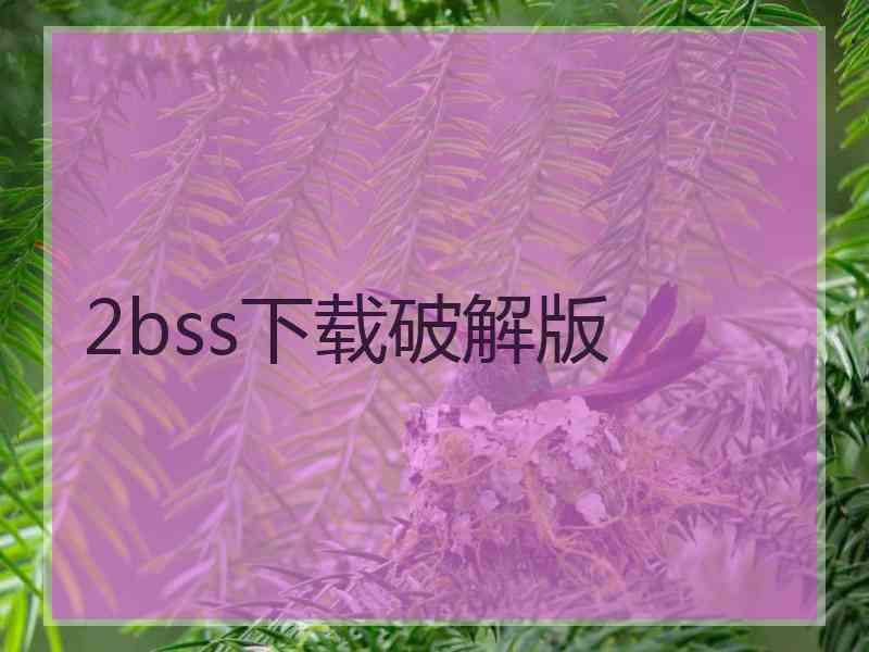 2bss下载破解版