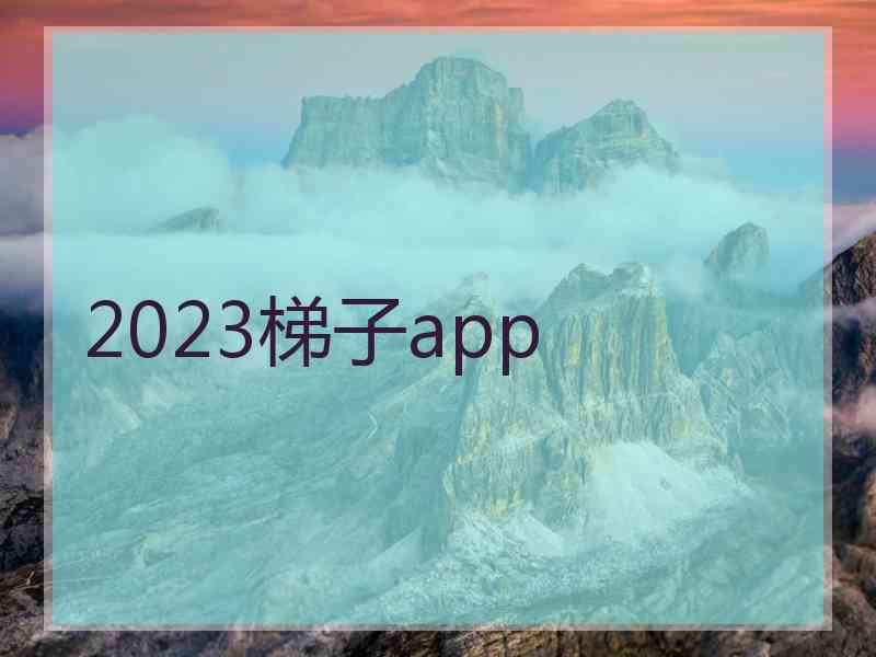 2023梯子app