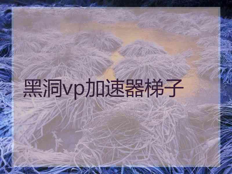 黑洞vp加速器梯子