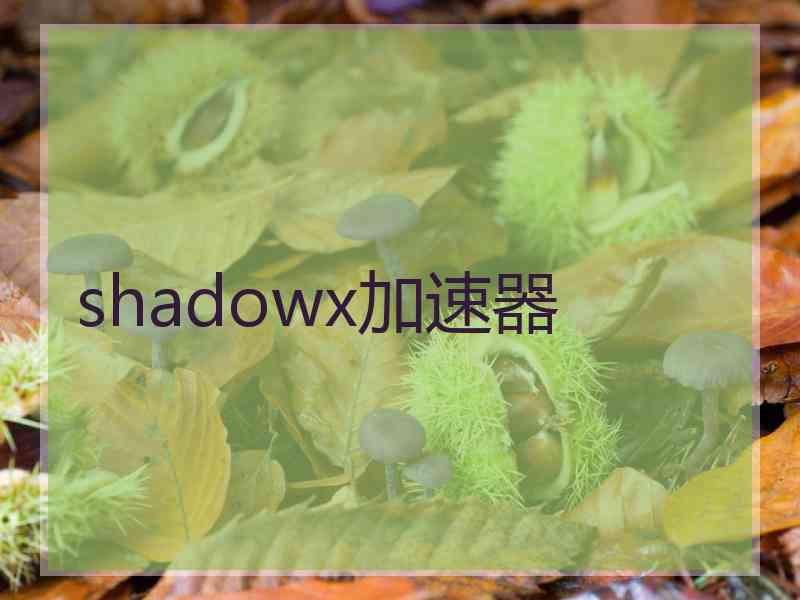 shadowx加速器