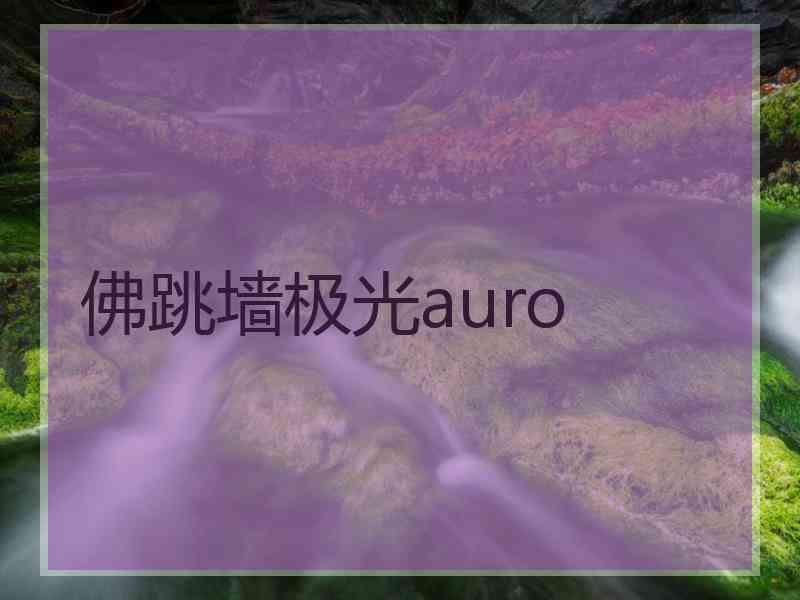 佛跳墙极光auro