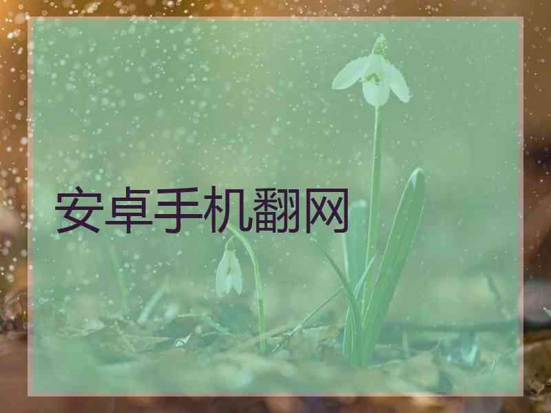 安卓手机翻网