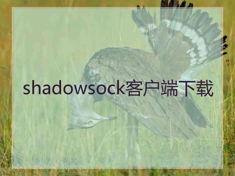 shadowsock客户端下载