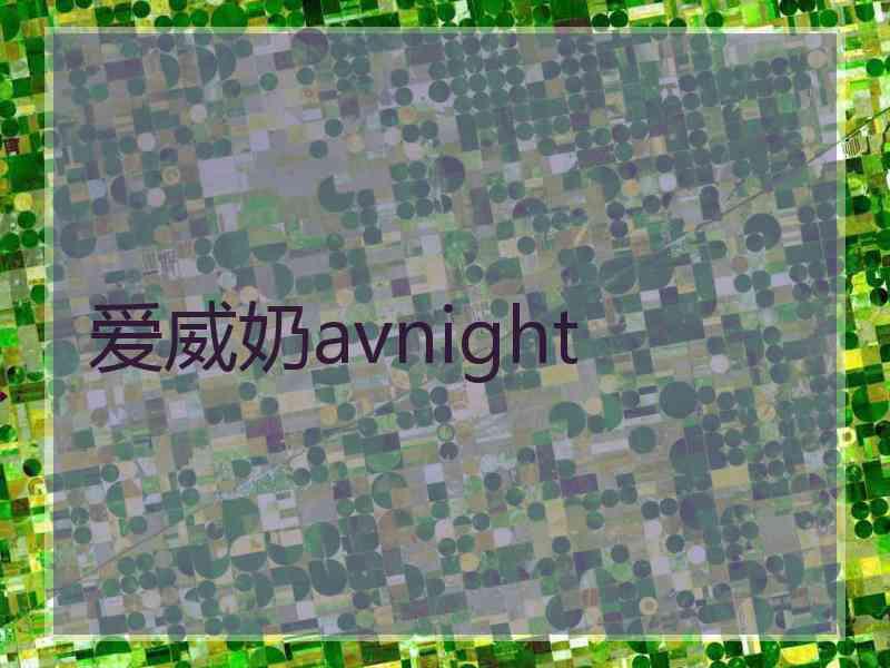 爱威奶avnight