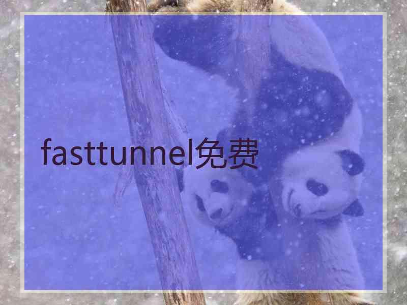 fasttunnel免费