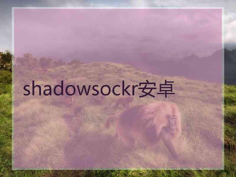 shadowsockr安卓