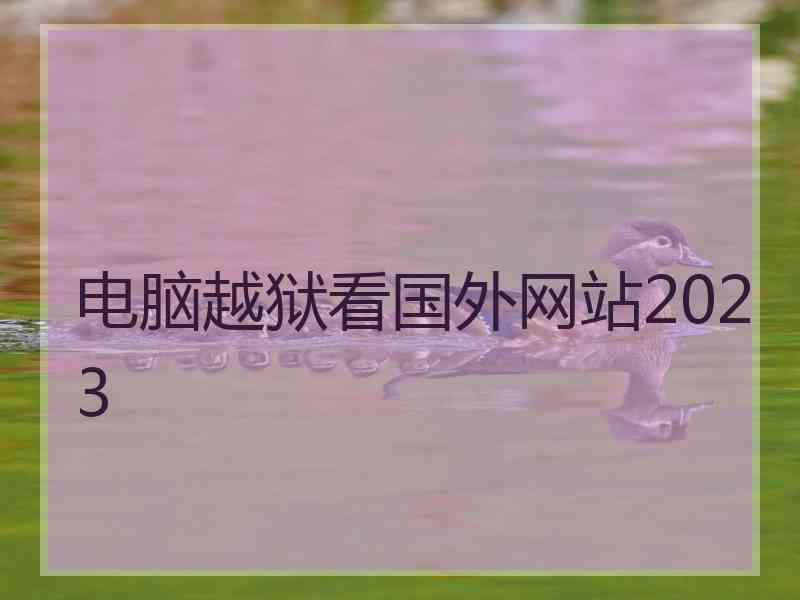 电脑越狱看国外网站2023