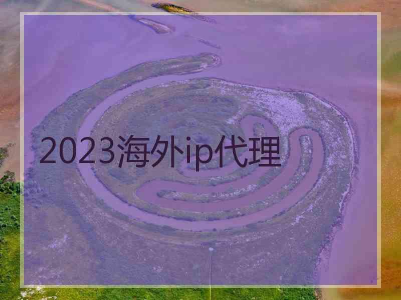 2023海外ip代理