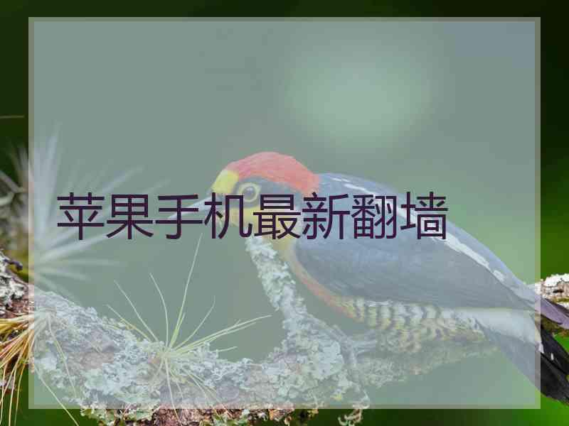 苹果手机最新翻墙