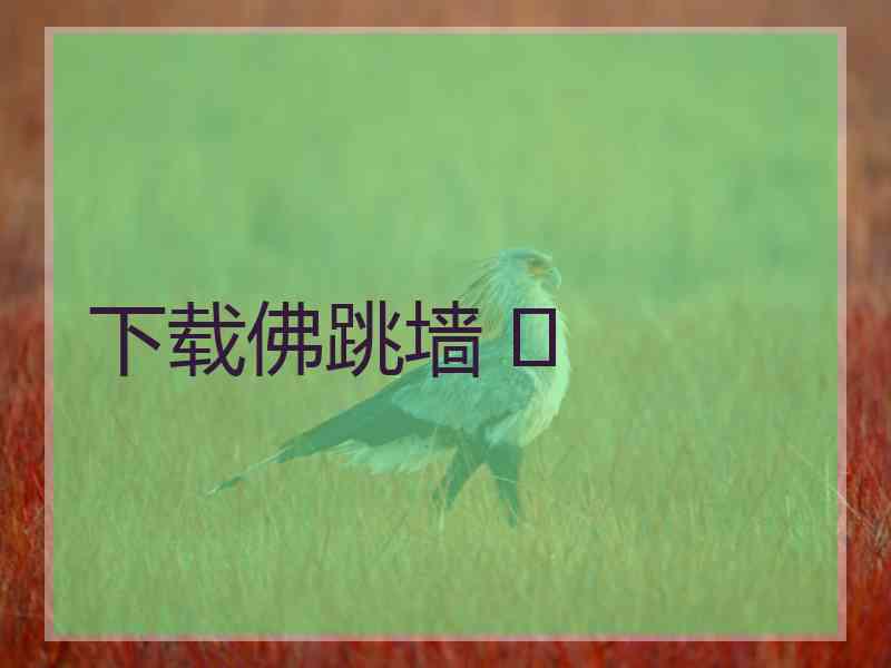 下载佛跳墙 	