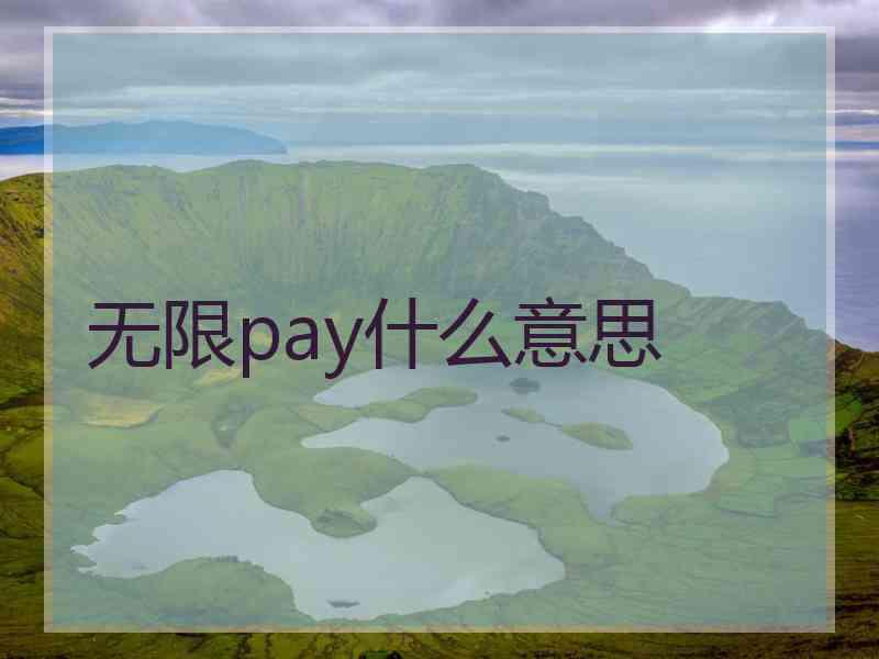 无限pay什么意思