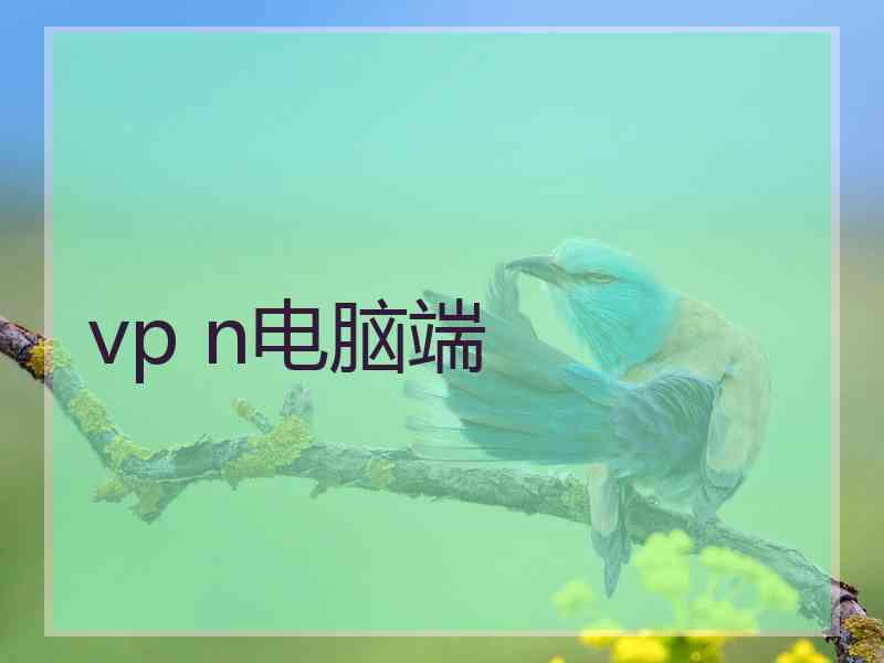 vp n电脑端