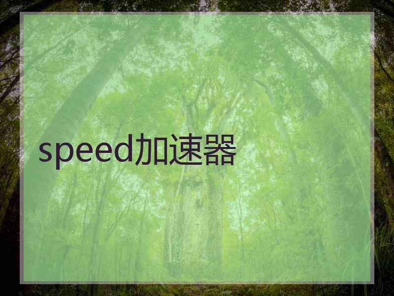 speed加速器