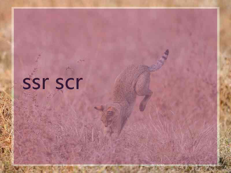 ssr scr