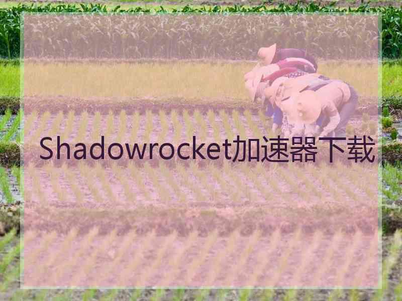 Shadowrocket加速器下载