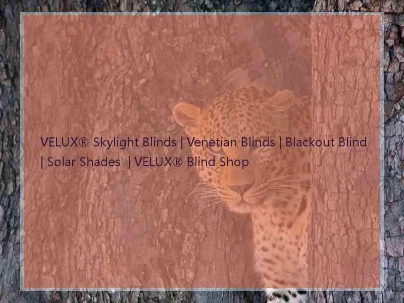 VELUX® Skylight Blinds | Venetian Blinds | Blackout Blind | Solar Shades  | VELUX® Blind Shop