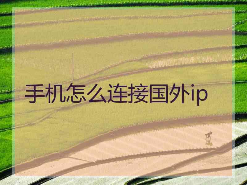 手机怎么连接国外ip