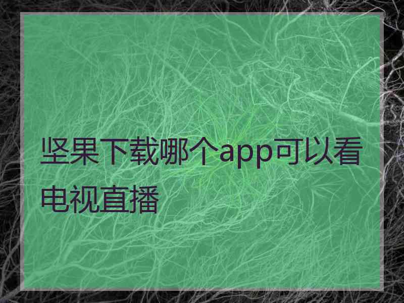 坚果下载哪个app可以看电视直播