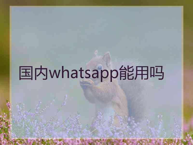 国内whatsapp能用吗