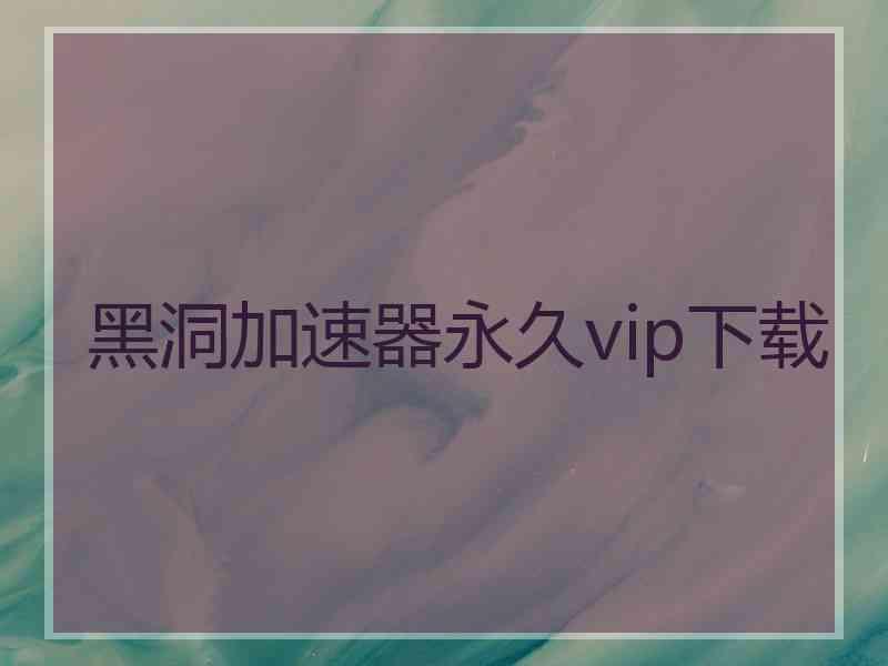 黑洞加速器永久vip下载