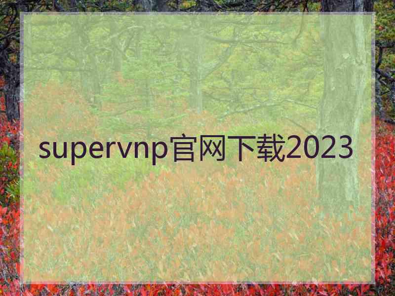 supervnp官网下载2023