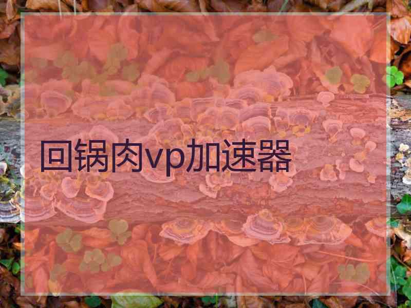 回锅肉vp加速器