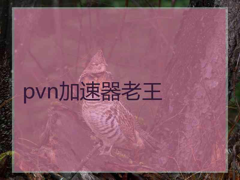 pvn加速器老王