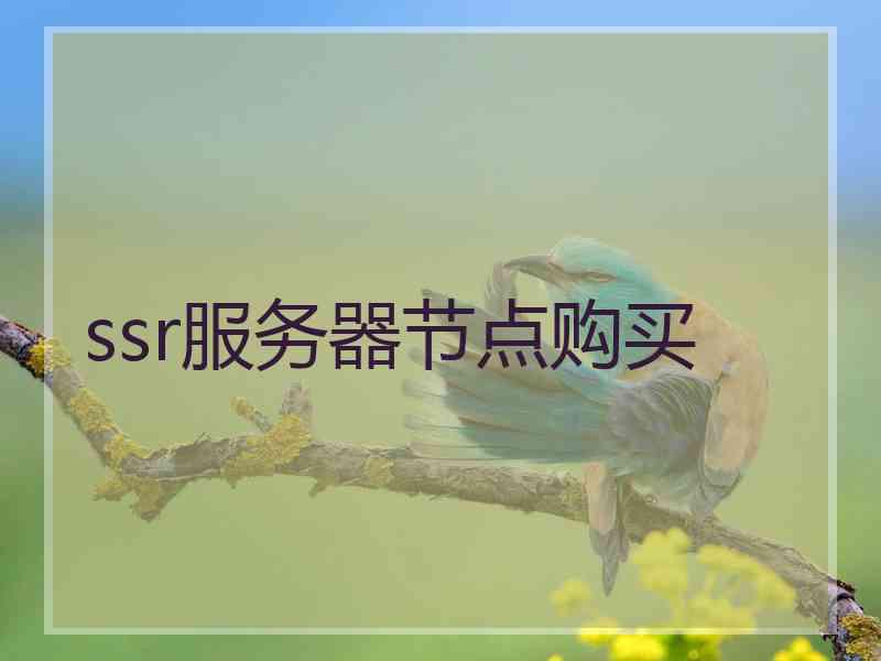 ssr服务器节点购买