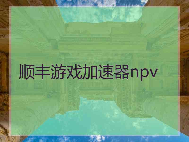 顺丰游戏加速器npv